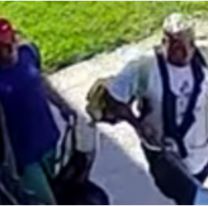 Le ofrecieron cortarle el pasto a un jubilado y lo mataron para robarle 