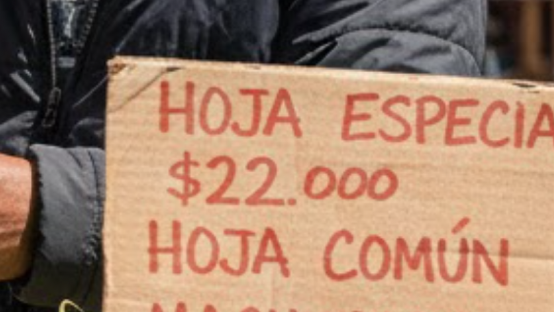 "Ya no compran como antes": sube la hoja de coca y el consumo se desploma en Jujuy