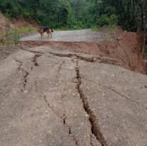 Alerta en Jujuy: una ruta se parti&oacute; en dos y el paso est&aacute; interrumpido 