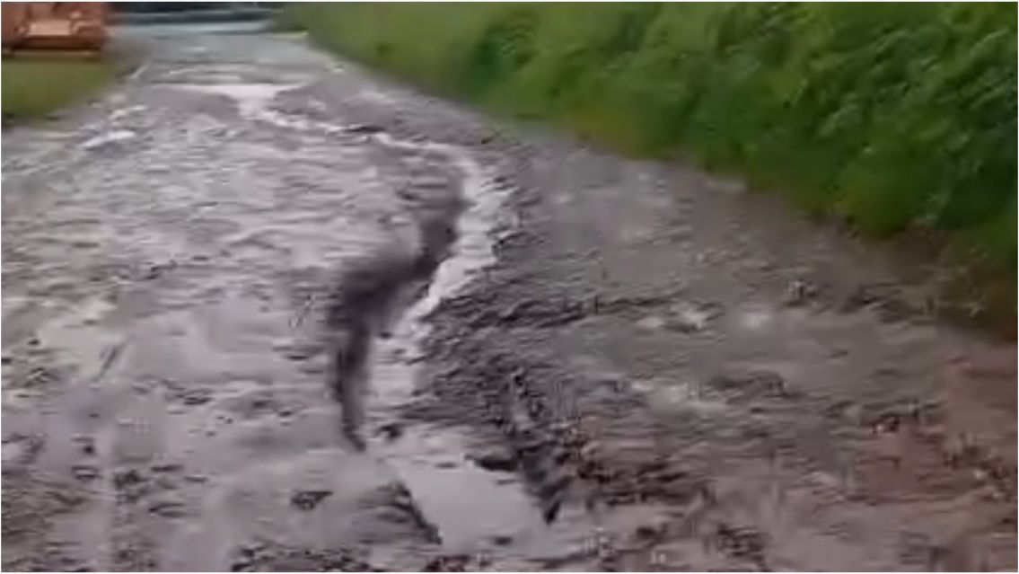 Vecinos del barrio Fin de Semana denuncian abandono: calles destruidas y a oscuras