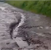 Vecinos del barrio Fin de Semana denuncian abandono: calles destruidas y a oscuras