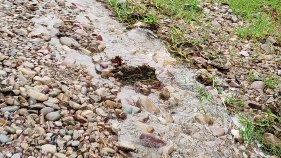 Calles destruidas y abandono: vecinos de Alto La Viña denuncian falta de respuestas del Municipio