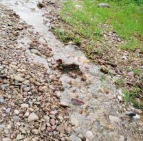 Calles destruidas y abandono: vecinos de Alto La Vi&ntilde;a denuncian falta de respuestas del Municipio
