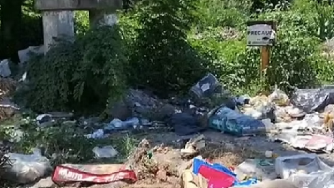 Pollos podridos y perros sin vida: el basural que la Municipalidad de Libertador no ve