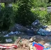 Pollos podridos y perros sin vida: el basural que la Municipalidad de Libertador no ve