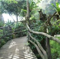 Apareci&oacute; un extra&ntilde;o puma en un zool&oacute;gico y sorprendi&oacute; a los expertos: algo nunca visto