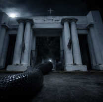 "Una mujer le daba de comer por las noches": la historia del viborón de un cementerio norteño