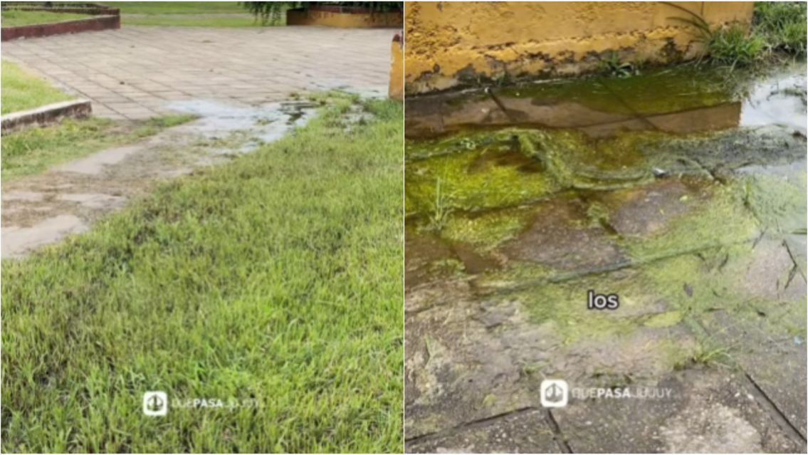 Abandono y mal olor en Plaza Italia: vecinos de Gorriti piden soluciones urgentes