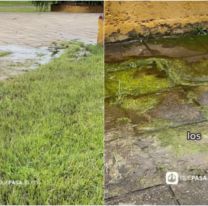 Abandono y mal olor en Plaza Italia: vecinos de Gorriti piden soluciones urgentes