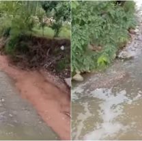 Vivir entre agua cloacal: el fuerte reclamo de vecinos del barrio Ciudadela