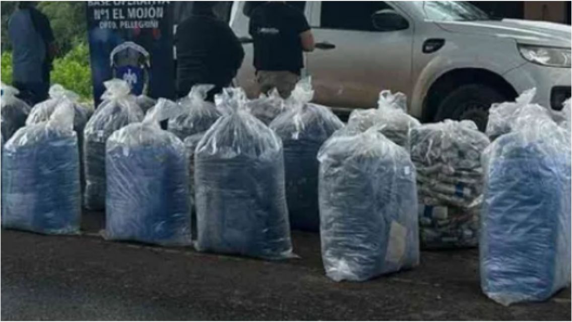 Jujeño y salteño cayeron más de 900 kilos de hojas de coca