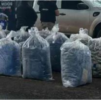 Juje&ntilde;o y salte&ntilde;o cayeron m&aacute;s de 900 kilos de hojas de coca