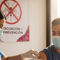 Llegan las vacunas contra el Dengue a Jujuy: c&oacute;mo acceder