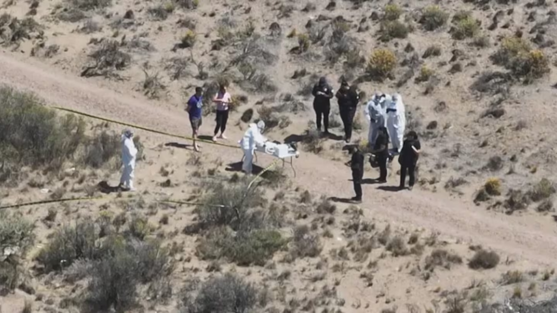 Un hombre corriendo y un cuerpo descuartizado: horror en el inicio del 2026