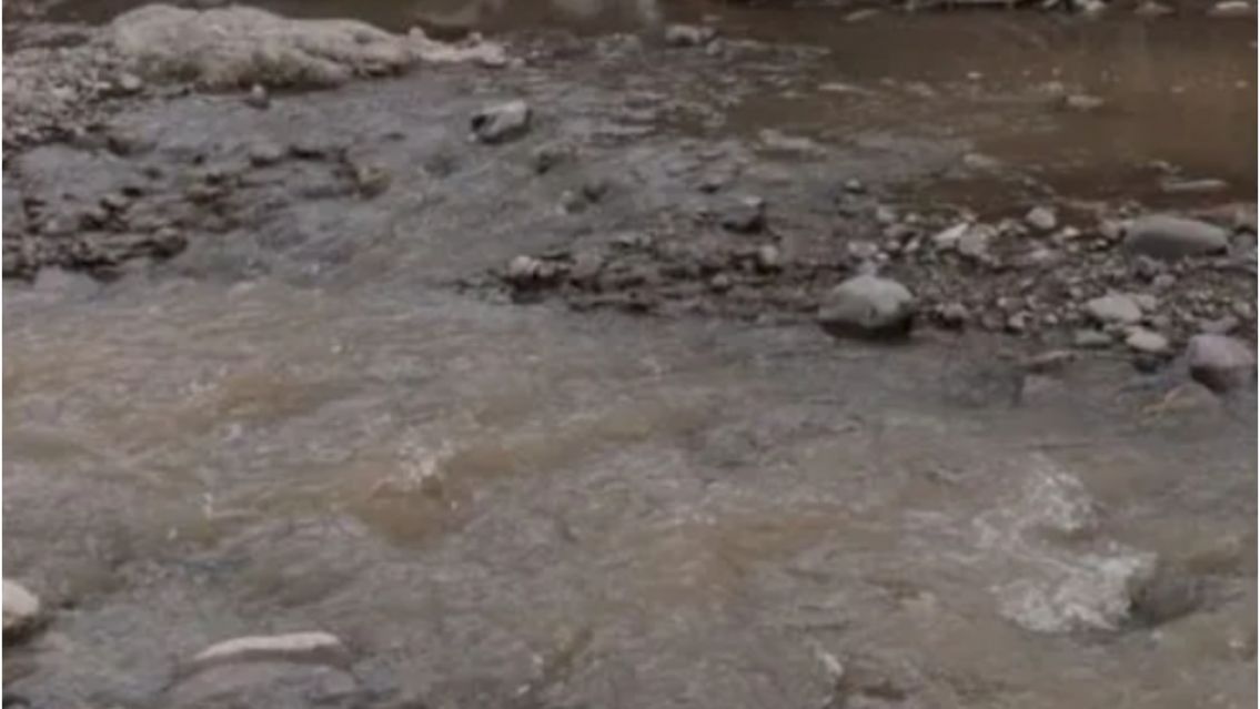 No tienen corazón: abandonaron un perrito en un arroyo y le salvaron la vida