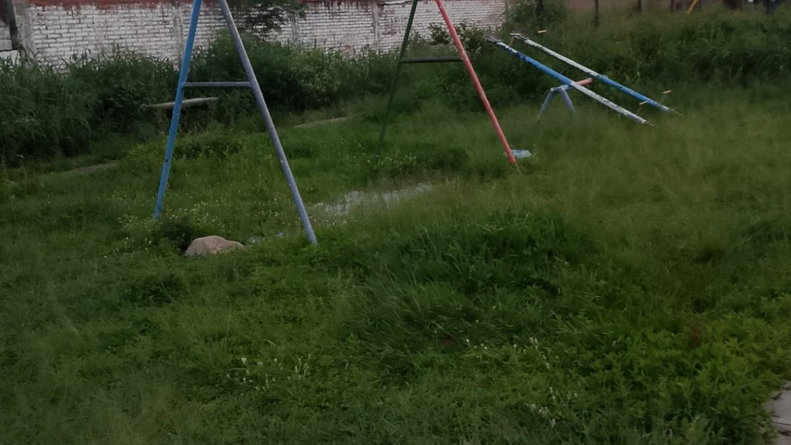 "Ponen juegos y aparatos pero no cortan el pasto": reclamo de vecinos de Alto Comedero