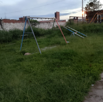 "Ponen juegos y aparatos pero no cortan el pasto": reclamo de vecinos de Alto Comedero