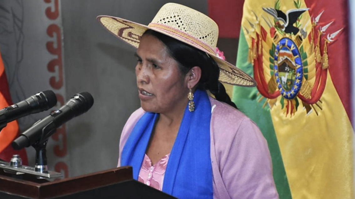 �Por qu� una exministra de Bolivia no pudo cruzar a Argentina?