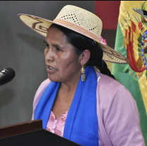 ¿Por qué una exministra de Bolivia no pudo cruzar a Argentina?