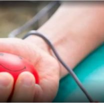Palpalá se suma a una nueva jornada de donación de sangre: dónde y a qué hora será la colecta