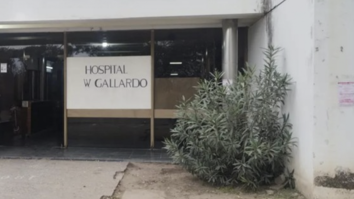 Alerta alacranes: aparecieron en banda y piden máxima precaución