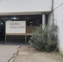 Alerta alacranes: aparecieron en banda y piden máxima precaución