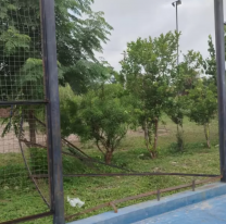 Vecinos de Monterrico denuncian que viven entre víboras y puentes rotos