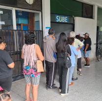 Cómo tramitar un 55% de descuento en la SUBE si sos beneficiario de la beca Progresar