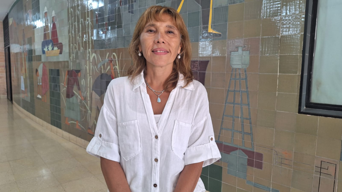 Jujuy vacuna contra el dengue: se federaliza la aplicación y habrá dosis en el interior