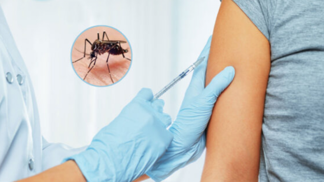 Llegaron m�s de 10 mil vacunas contra el dengue a Jujuy: qui�nes podr�n vacunarse primero