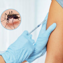 Llegaron m&aacute;s de 10 mil vacunas contra el dengue a Jujuy: qui&eacute;nes podr&aacute;n vacunarse primero