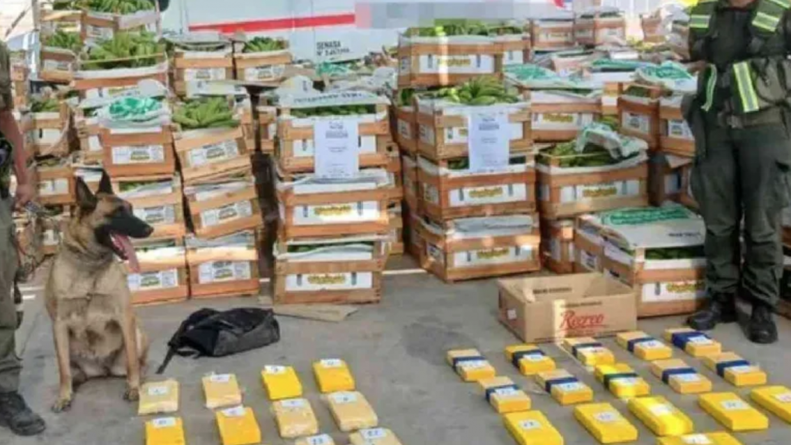 La historia del juje�o que dej� 64 kilos de "merca" con el sello del delf�n y desapareci�