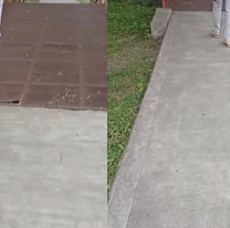 Falta de mantenimiento en el Xibi Xibi, as&iacute; est&aacute; uno de los puentes