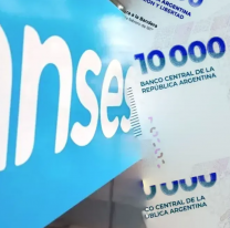 De la PUAM a la AUH: Los montos finales que deposita ANSES desde el lunes en Jujuy