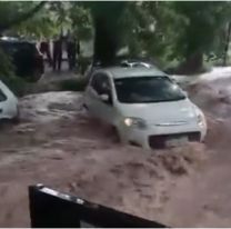Mendoza bajo el agua: temporal deja caos, cortes de luz y rescates