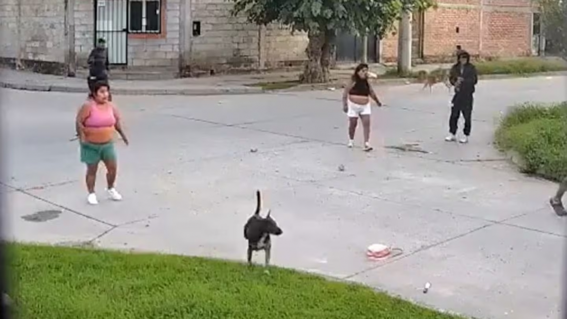 Pistolera norteña fue capturada: era el terror del barrio