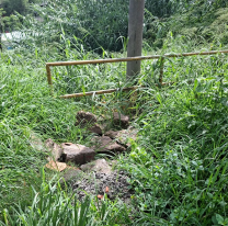 En Jujuy hay barrios "de primera" y otros que quedan postergados: ¿de qué depende?