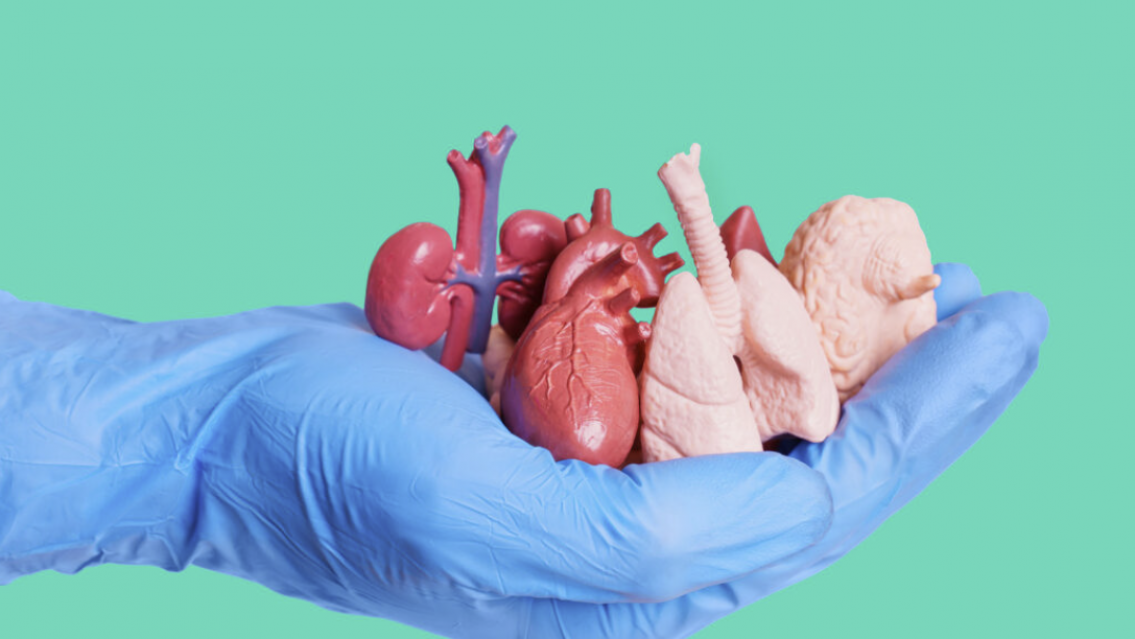 11 operativos de ablación de órganos en Jujuy en lo que va del año