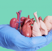 11 operativos de ablación de órganos en Jujuy en lo que va del año