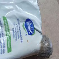Una merienda a puras arcadas: juje&ntilde;a compr&oacute; un yogurt Ramolac con una rata adentro
