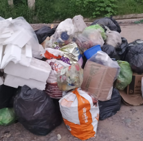 "No es un basural, es el frente de mi casa": vecinos piden la recolecci&oacute;n