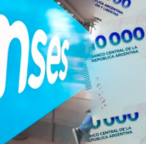 ANSES confirmó un bono de $345.000 para febrero: quiénes lo cobran y qué requisitos piden