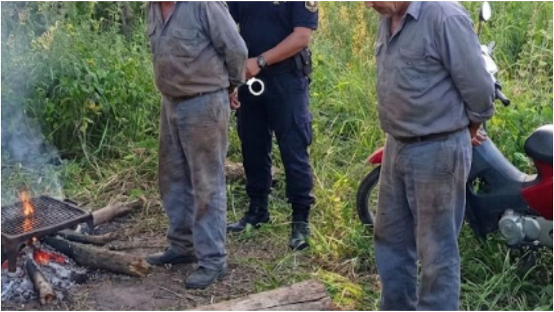 Imagen ilustrativa generada con IA.