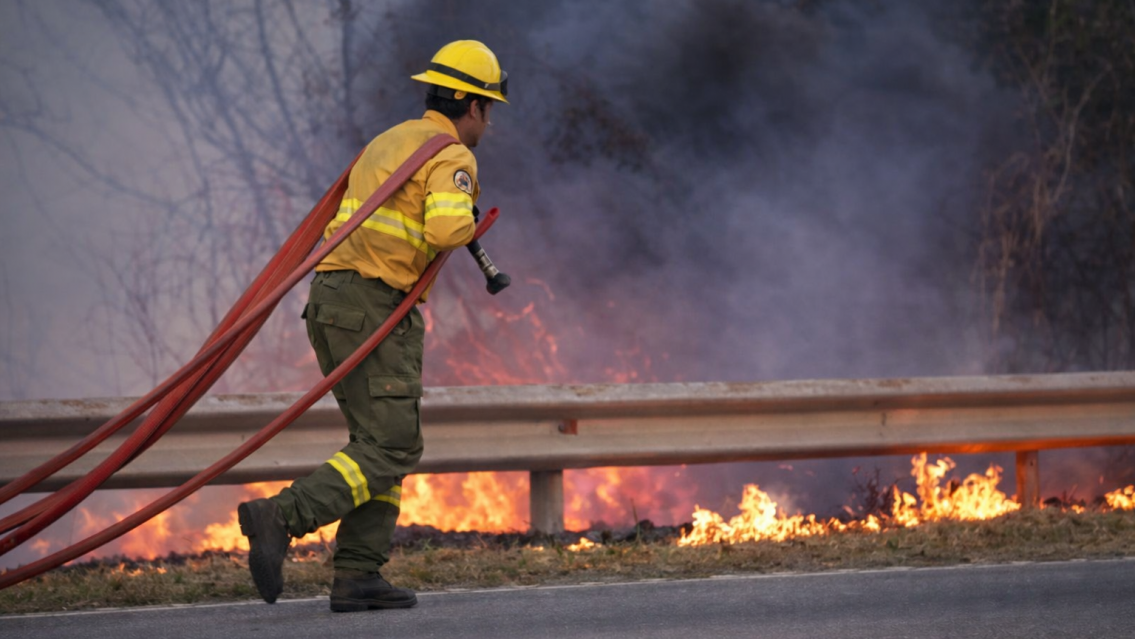 IMAGEN MEJORADA CON IA