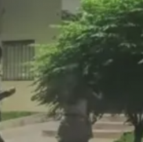 Peleas y tensión en los corsos de Alto Comedero: una menor herida