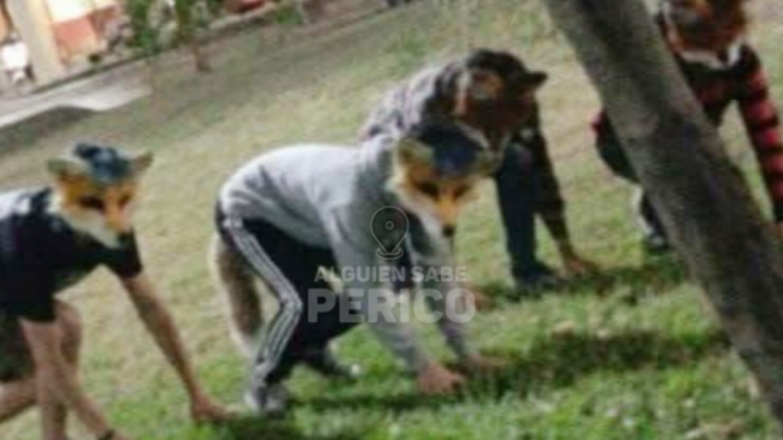 Therians: las primeras juntadas p�blicas ya se hacen visibles en Perico