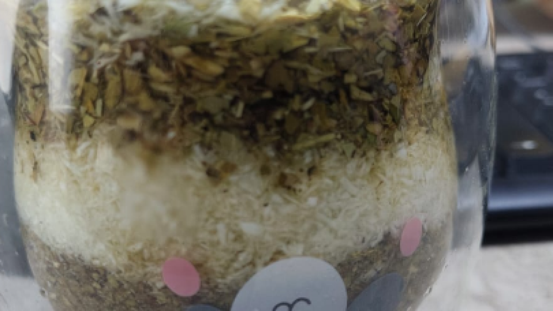¿Tiene arroz? Después del café de especialidad, llega el "mate de especialidad"