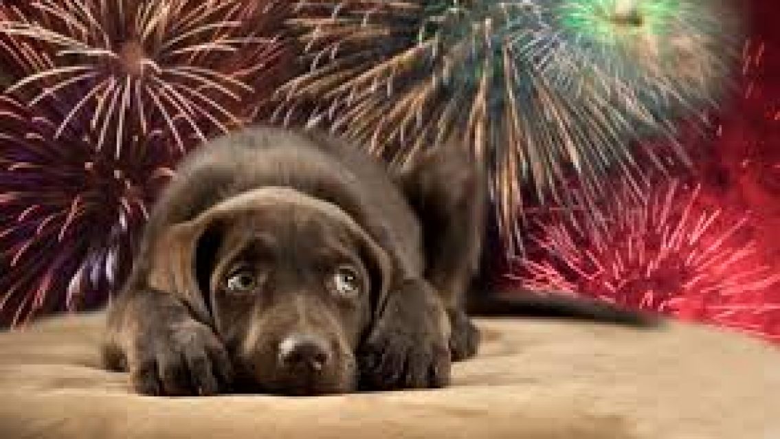 Peor que en navidad: no se respetó la prohibición a la pirotecnia