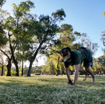 Pasaron el l&iacute;mite: mujer denunci&oacute; que su hija fue mordida por un "therian"