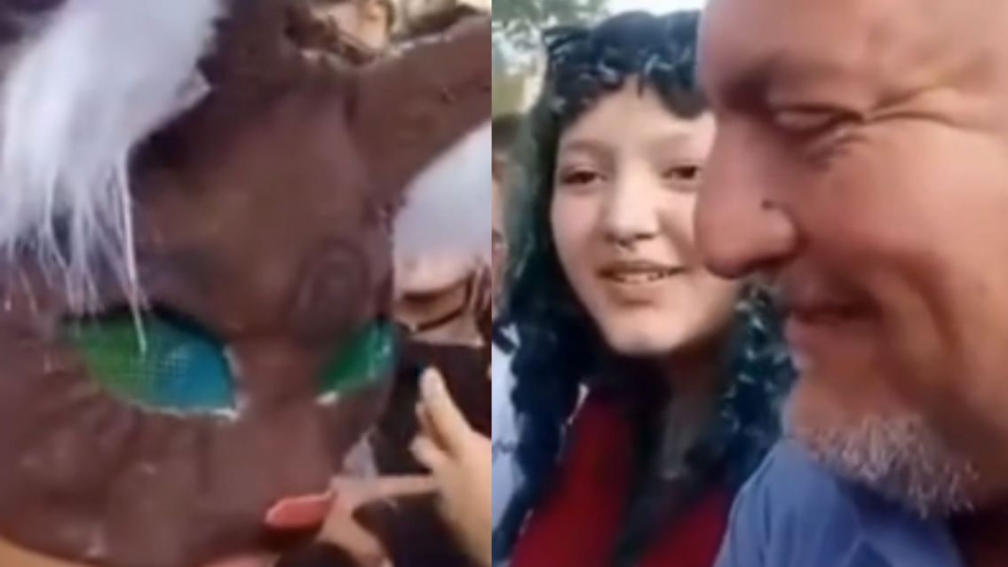 Insólita entrevista en Jujuy: un periodista maulló en vivo para hablar con un "therian"